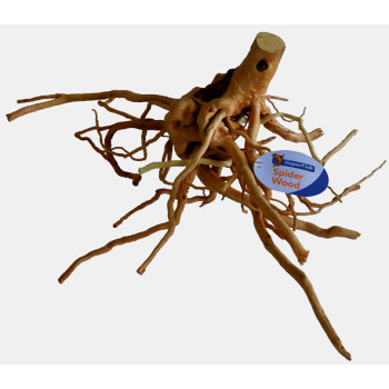 Spider Wood Large